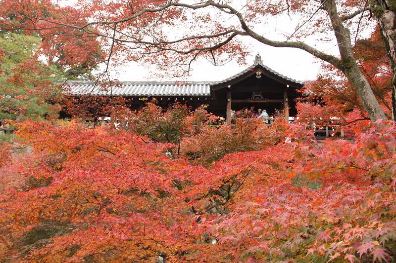東福寺